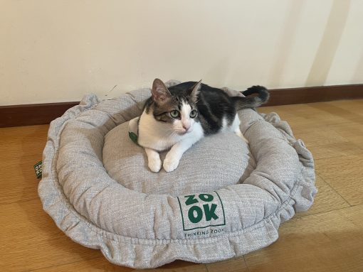 Zook Cama 2 em 1 - Gravel - Image 5