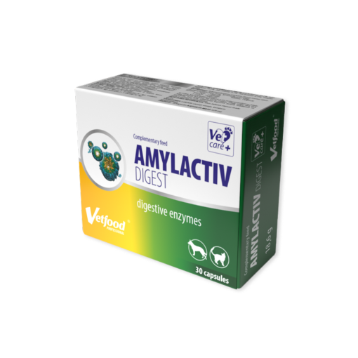 Amylactiv Digest - Suporte Digestivo para Cão e Gato