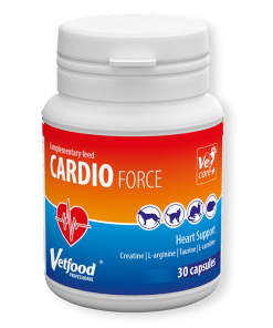 Cardioforce - Suplemento para Disfunções Cardiovasculares para Cão e Gato é um apoia o funcionamento regular do sistema cardiovascular.