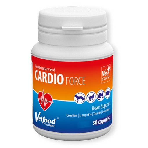 Cardioforce - Suplemento para Disfunções Cardiovasculares para Cão e Gato é um apoia o funcionamento regular do sistema cardiovascular.