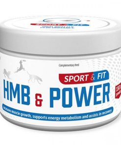 HMB & Power - Suplemento Alimentar Para Cães e Gatos Ativos 150 GR