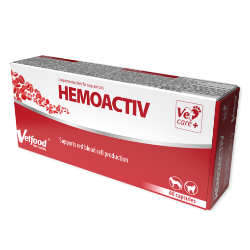 HemoActiv - Suplemento de Ferro para Cão e Gato
