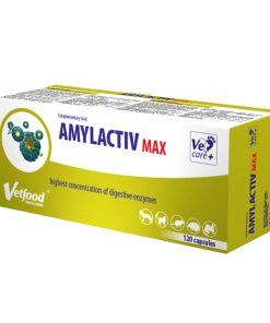 Amylactiv MAX é um produto que contém uma elevada concentração de enzimas envolvidas na digestão e absorção de nutrientes: lipase, amilase e protease.