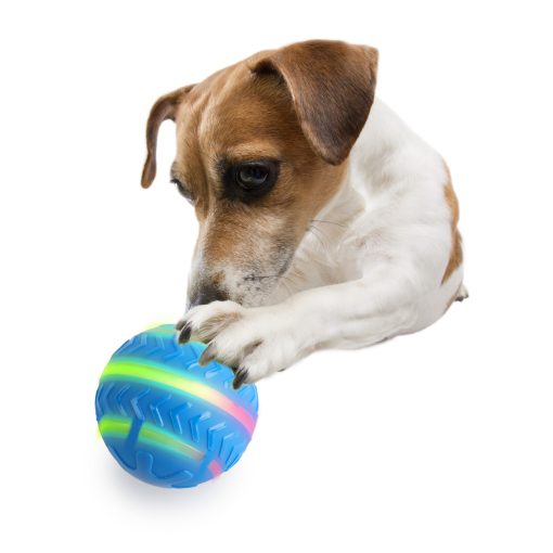All for Paws Brinquedo Interativo Motion Activated Action Ball - Image 3