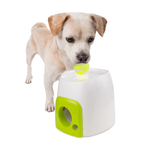 All for Paws Brinquedo Interativo Cão Mini Hyper Fetch Automatic Ball Launcher