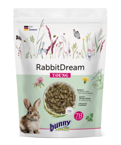 Bunny Sonho Para Coelho Jovem