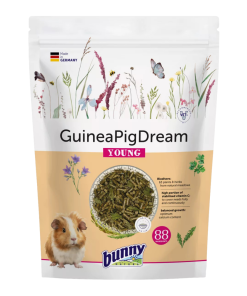 Bunny Sonho Para Porquinho-Da-Índia Jovem