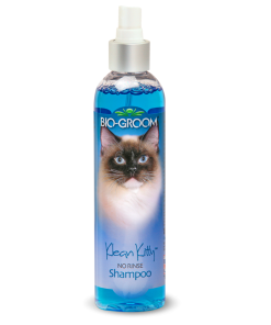 Bio-Groom Champô Seco Waterless Kitty Para Gatos 236 ML