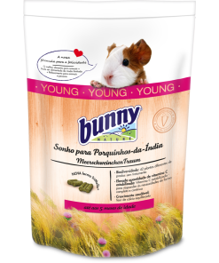 Bunny Sonho Para Porquinho-Da-Índia Jovem