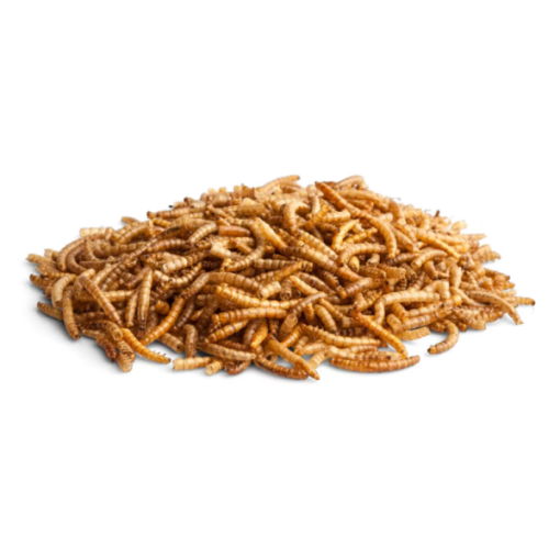 Bunny Enjoy Nature Worm Wonder Meal Worms 60 GR - Image 2