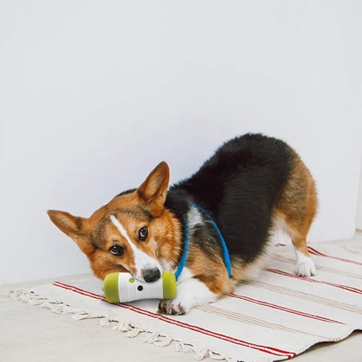 All for Paws Brinquedo Interativo Cão Treat Frenzy Roll - Image 5