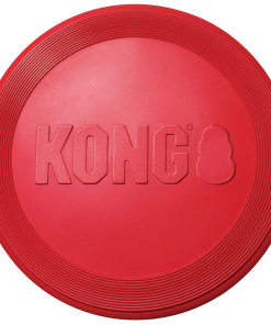 Hunter Kong Flyer Frisbee