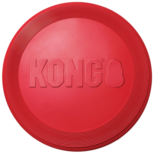 Hunter Kong Flyer Frisbee