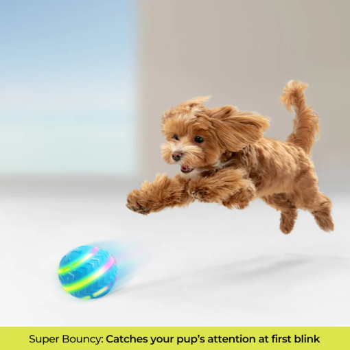 All for Paws Brinquedo Interativo Motion Activated Action Ball - Image 4