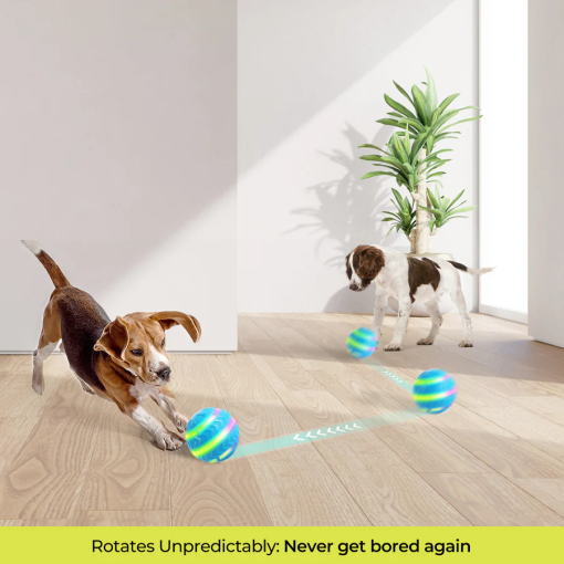 All for Paws Brinquedo Interativo Motion Activated Action Ball - Image 5