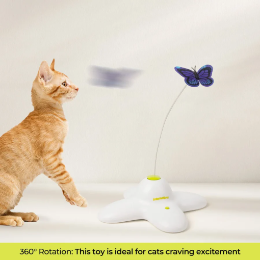 All for Paws Brinquedo Interativo Gato com Borboleta Flutter Bug - Image 6