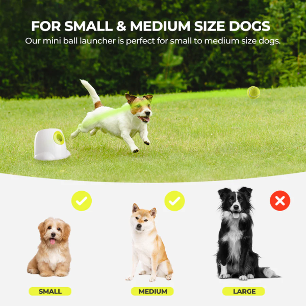 All for Paws Brinquedo Interativo Cão Mini Hyper Fetch Automatic Ball Launcher - Image 7