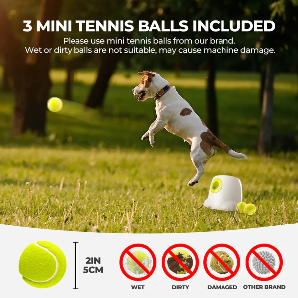 All for Paws Brinquedo Interativo Cão Mini Hyper Fetch Automatic Ball Launcher - Image 4