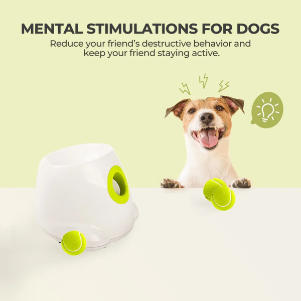 All for Paws Brinquedo Interativo Cão Mini Hyper Fetch Automatic Ball Launcher - Image 5