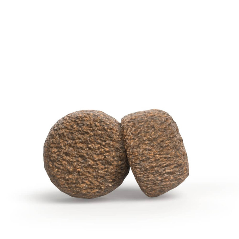 Josera Sensi Plus - Ração Seca de Pato para Cães Adultos com Sensibilidades - Image 3