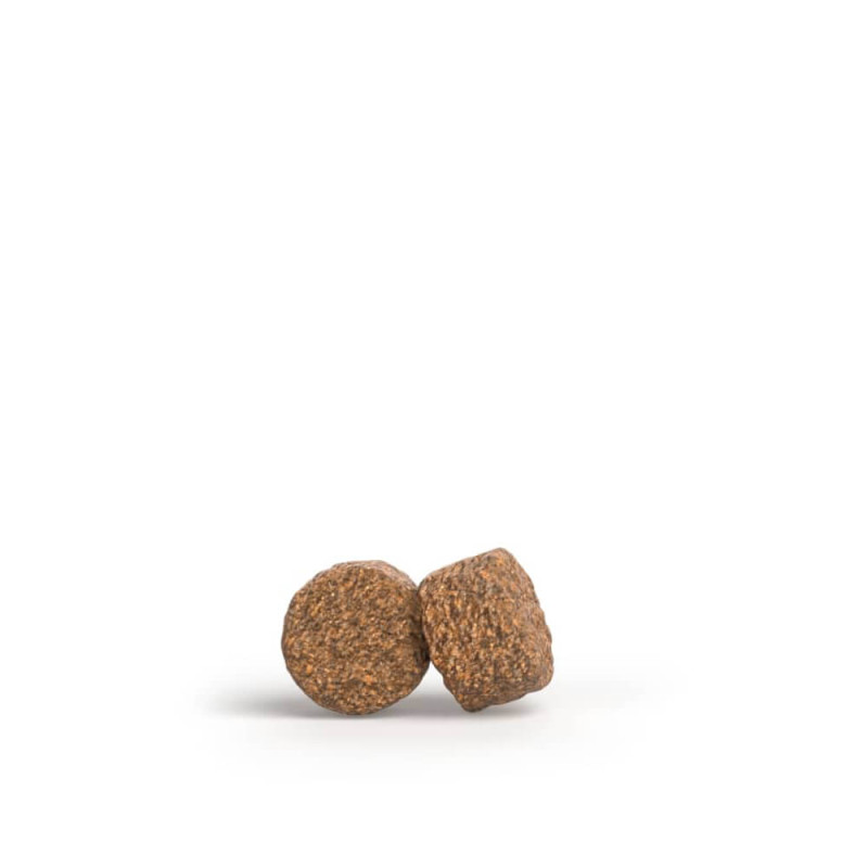 Josera Mother & Puppy - Ração Starter para Cachorros e Cadelas Lactantes - Salmão e Arroz - Image 2