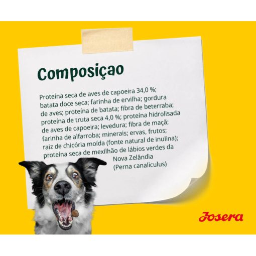 Josera Grainfree é uma ração seca para cão adulto constituída por aves e truta com batata doce e é um alimento formulado para cães muito ativos.
