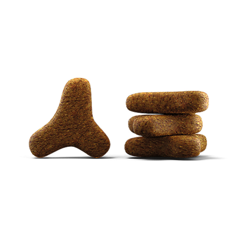 Josera Indoor - Ração Seca Sem Cereais para Gato de Interior e/ou Esterilizado - Image 2