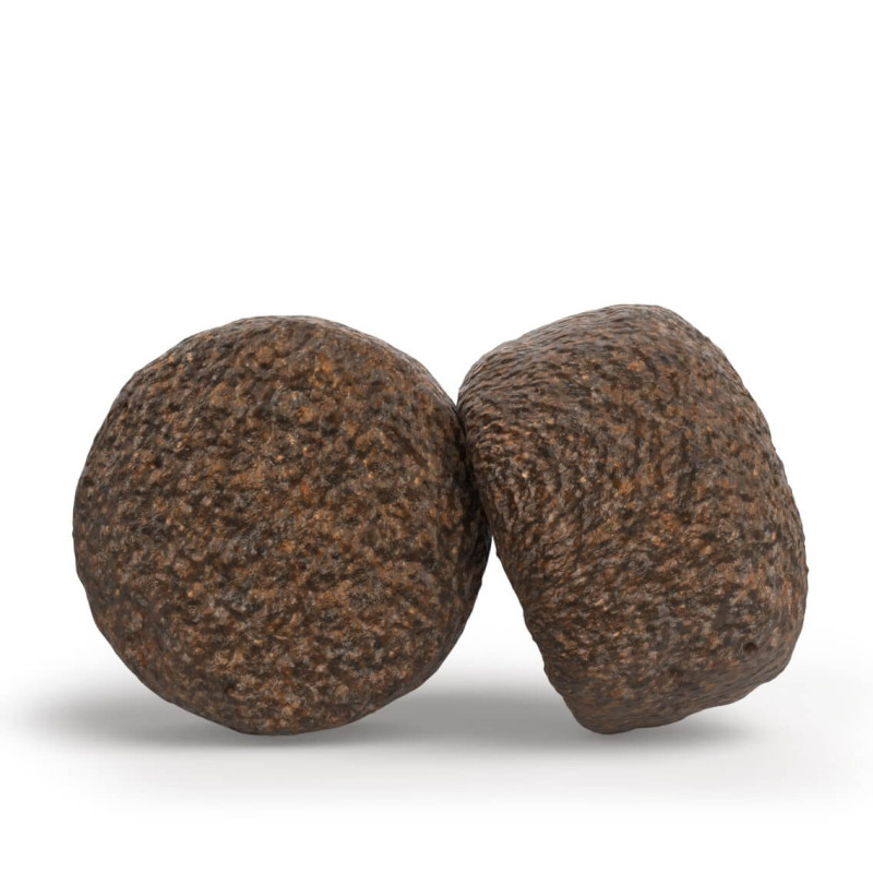 Josera Medi Maxi - Ração Seca para Cão Médio/Grande - Frango e Arroz - Image 3