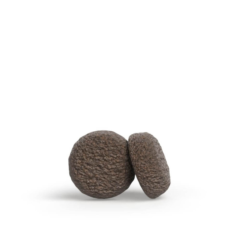 Josera Mini Junior - Ração Seca para Cachorro de Porte Pequeno - Pato e Salmão - Image 6