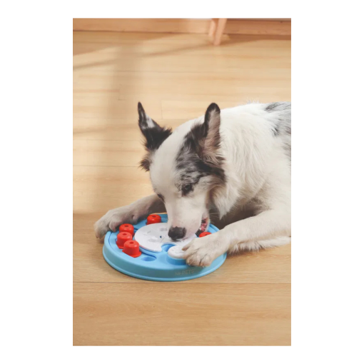 M-Pets Brinquedo Interativo da Vinci - S/L2 Medium - Image 4