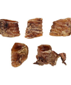 Snack Natural Traqueia 5-6Cm 100Gr