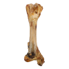 Snack Natural Osso Tibia (Osso Jumbo) 800Gr