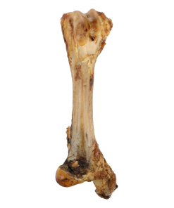 Snack Natural Osso Tibia (Osso Jumbo) 800Gr