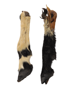 Snack Natural Sheep Foot With Hair 2Pcs