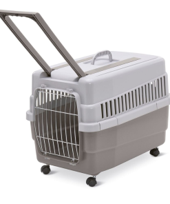 Transportadora Kim 60 Cinza/Azulc/ Rodas E Pega 60*40*45Cm