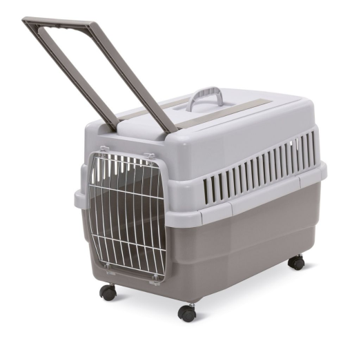 Transportadora Kim 60 Cinza/Azulc/ Rodas E Pega 60*40*45Cm