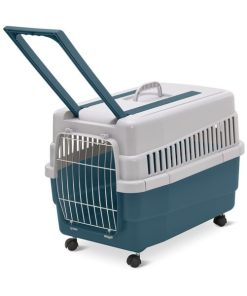IMAC Transportadora Kim 60