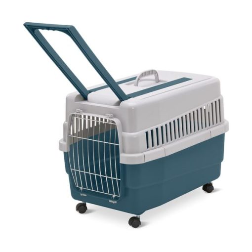 IMAC Transportadora Kim 60
